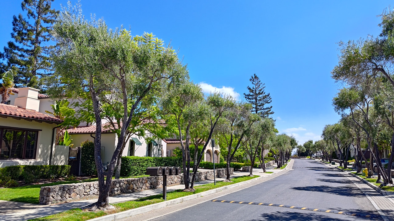 Tree-lined street in the Bella Vista community, with Mediterranean-style homes and stone garden walls